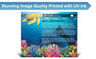 Plastic Sign Exhibit with Vibrant Colors