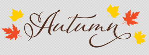 Autumn Leaves